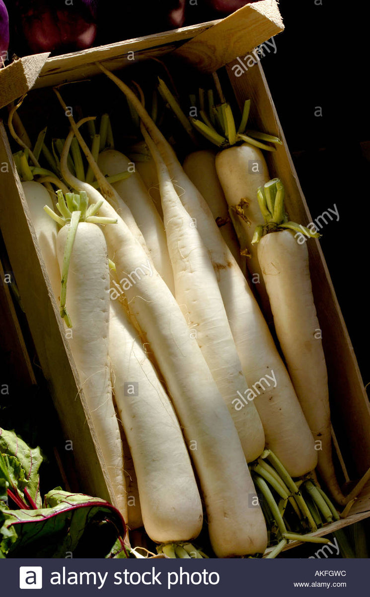 Aokubi Daikon Plastic Bag / White Radish by Takara / Vegetable -   Portugal