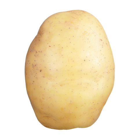 Potato Yellow (QC) Chef
