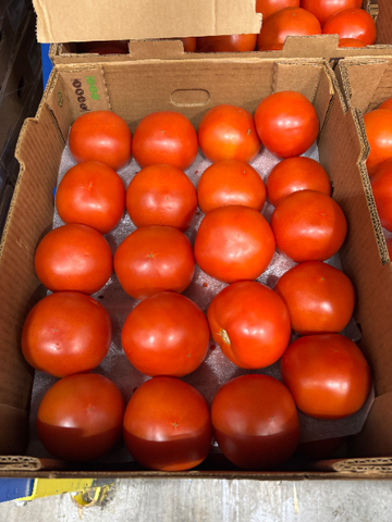 Tomato Beefsteak (20LBs)