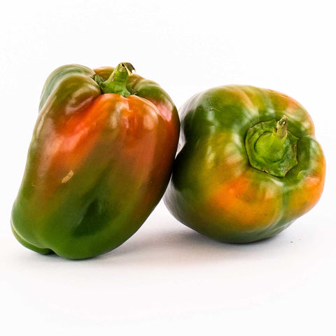 GREEN PEPPER SUNTAN