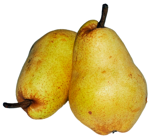 Pears Bartlett 44lb