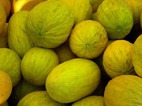 Canary Melons