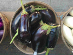 Eggplant Mexico 25LBs