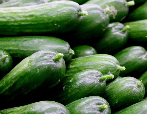 Lebanese Cucumber