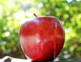 Apples - Red Delicious