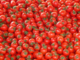 Tomato, 6x6, Beefsteak